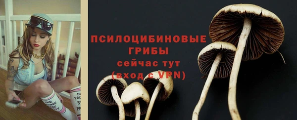 MDMA Premium VHQ Козловка