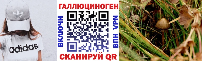 Купить где  Сосенский  Галлюциногенные грибы Magic Shrooms 
