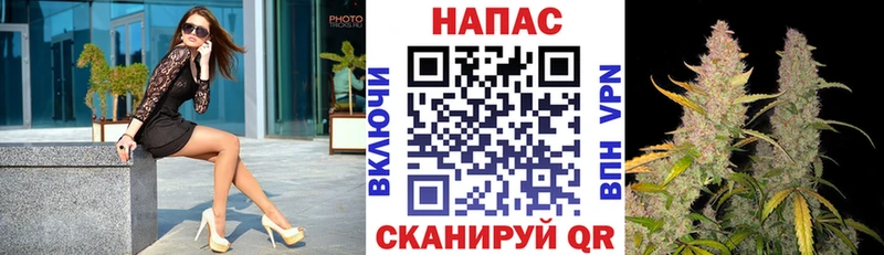 Купить  Сосенский  Конопля ГИДРОПОН 